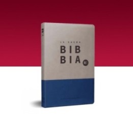 BIBBIA RIVEDUTA 2020 (R2) Tascabile  Similpelle Bicolore Grigio/Blu