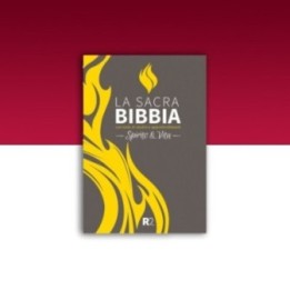 BIBBIA SPIRITO E VITA R2 Cartonata grigio/giallo