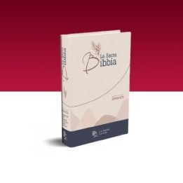 Bibbia N.R. 14x21 cm caratteri grandi rilegata rigida illustrata colore beige Nuova Edizione