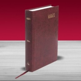 Bibbia Nuova Diodati a caratteri grandi (171.241) Bordeaux  taglio bianco senza rubrica  Formato grande