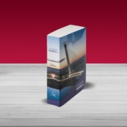 Bibbia Nuova Diodati - C03SE - Formato piccolo Brossura economica a colori