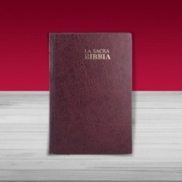 Bibbia Nuova Diodati - A03EO - Formato medio Copertina rigida colore bordeaux  taglio bianco senza rubrica