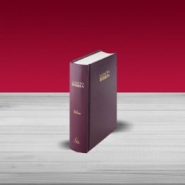 Bibbia Nuova Diodati - C03EO - Formato piccolo Copertina rigida colore bordeaux  taglio bianco senza rubrica